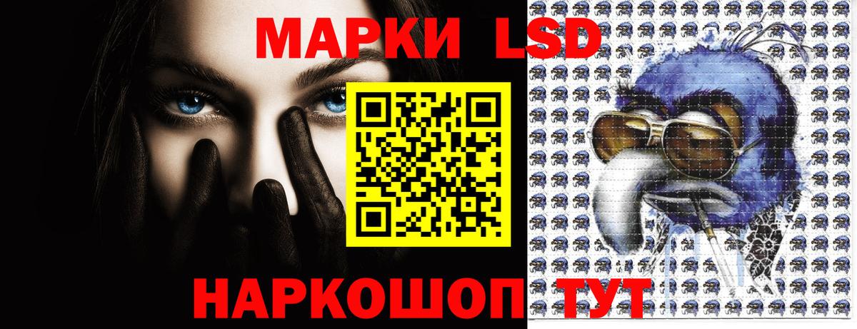 где купить   Марки 25I-NBOMe 1500мкг  Вход с VPN  Звенигород 