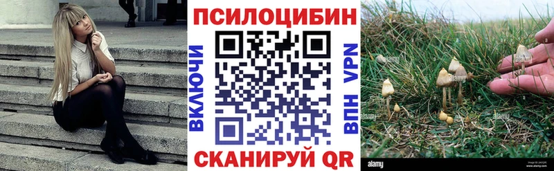 Галлюциногенные грибы Magic Shrooms Звенигород