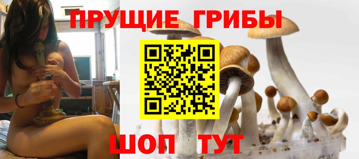 Галлюциногенные грибы мицелий Звенигород