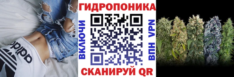 blacksprut   где продают   Звенигород  Бошки марихуана OG Kush 